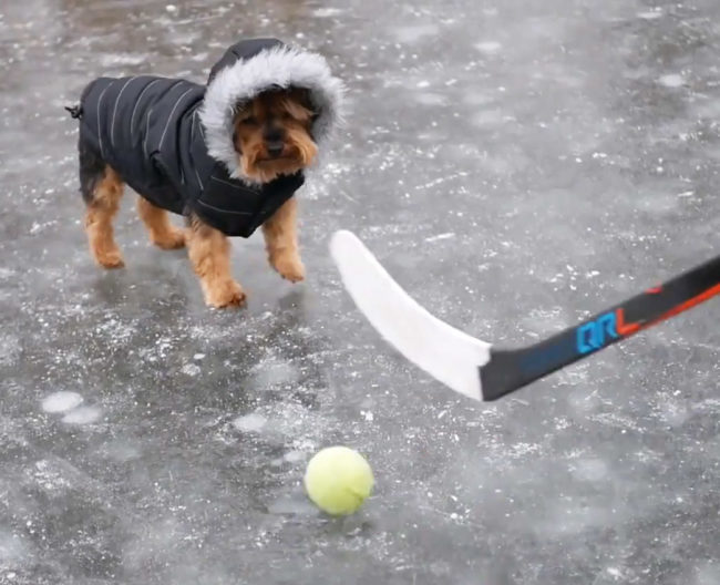 Annual Kirk Family Hockey Game