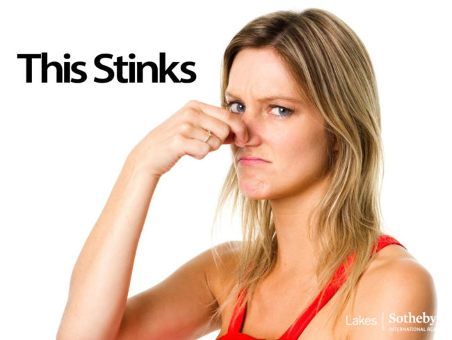 Quarantine Corner Episode 11 Top 5 Turnoffs for Buyers Quarantine Corner Episode 11 Top 5 Turnoffs for Buyers