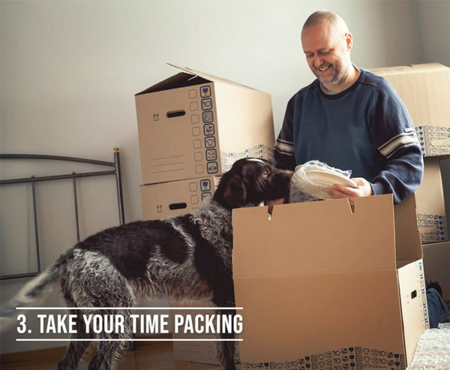 Quarantine Corner Episode 13 - Three Tips for getting your pet ready for a move