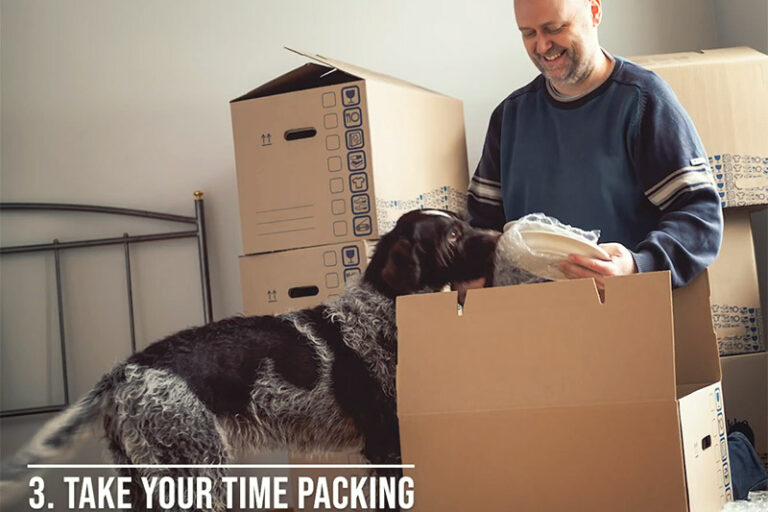 Quarantine Corner Episode 13 - Three Tips for getting your pet ready for a move